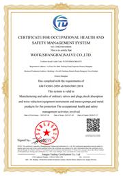 ISO45001职业健康安全管理体系认证英文版